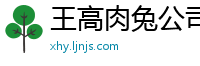 王高肉兔公司